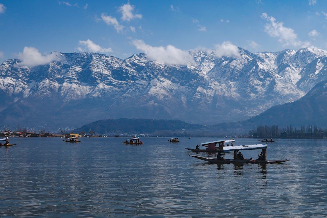 DalLake-4